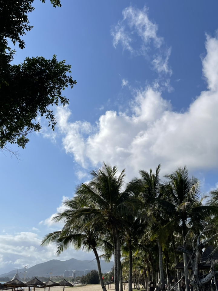 海南，邂逅自然的即兴之旅