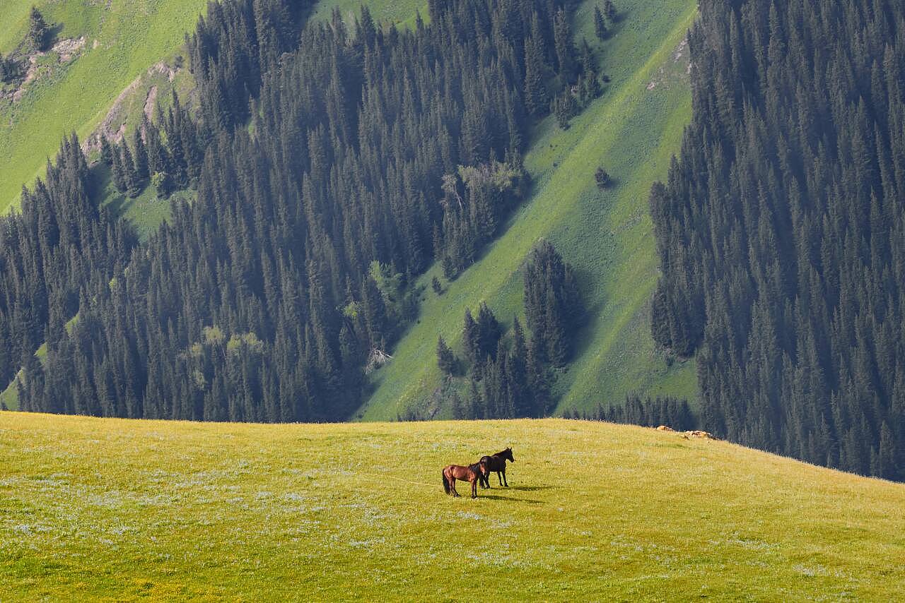 新疆，壮美多彩的大地探索之旅